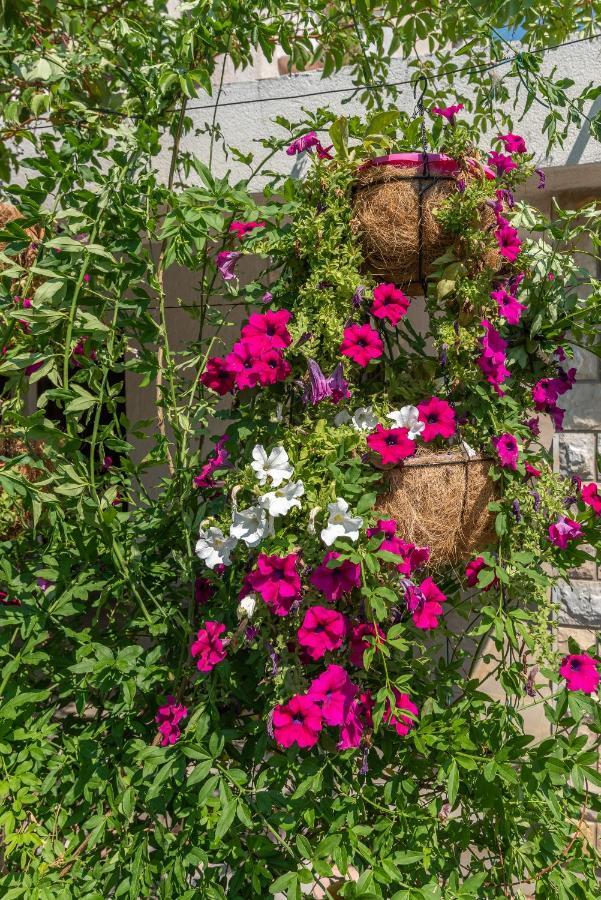Apartments Vojin Τρογκίρ Εξωτερικό φωτογραφία